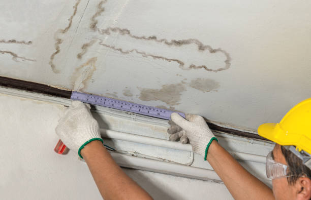 Reliable Water Damage Repair contractor in Sandwich, IL by Hirex Water Damage